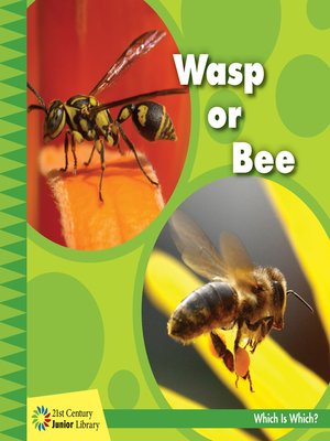cover image of Wasp or Bee